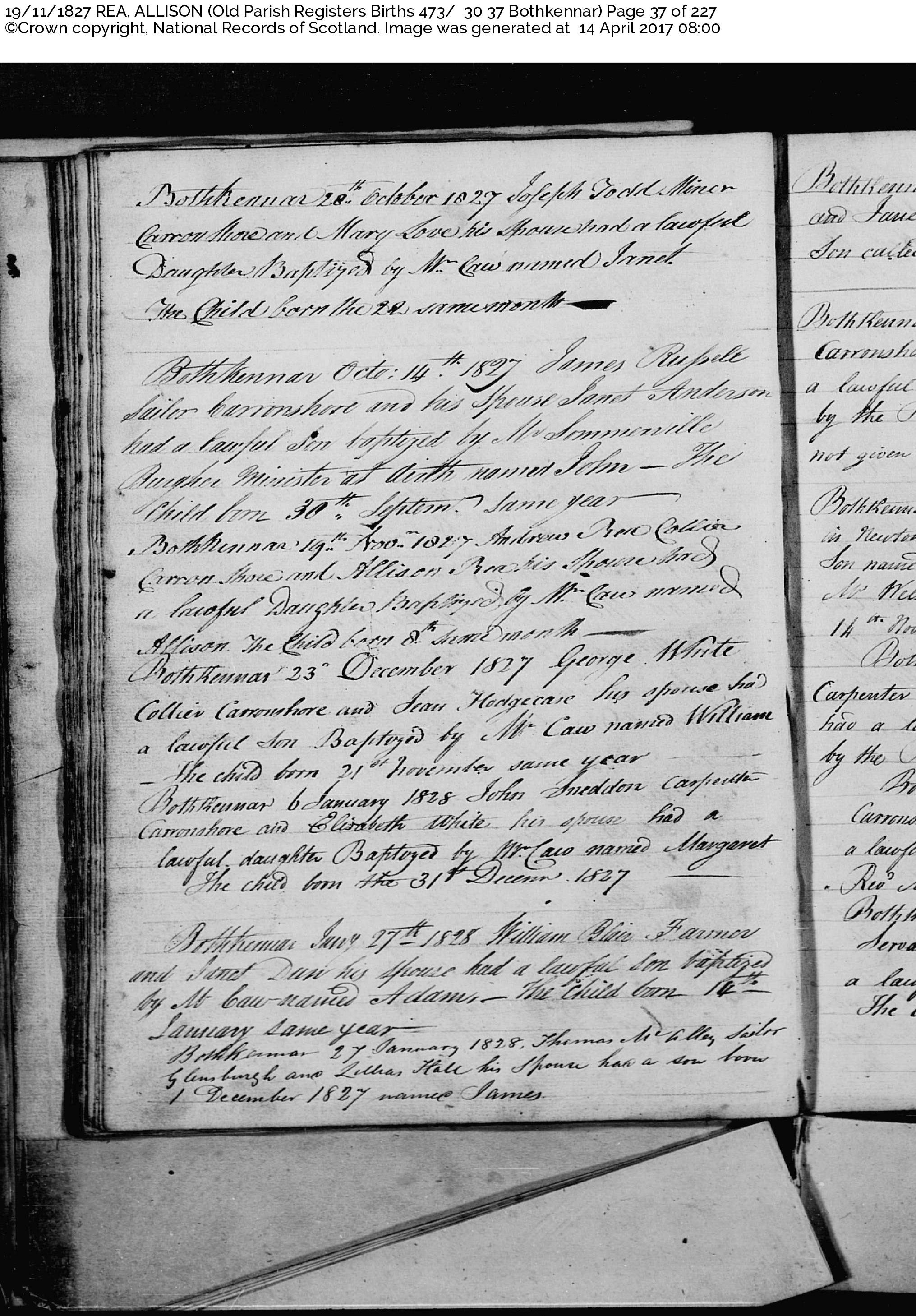 1827 Baptism Allison REA_Bothkennar, Parish Church, Linked To: <a href='i2416.html' >Alison Rae 🔗</a>